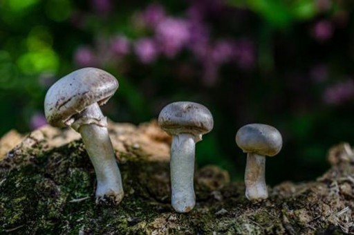 excel加密文件怎么解密的教程 excel加密文件怎么解密的教程