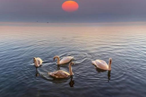 如何使用Excel表格求和,Excel专家教你多种方法 如何使用Excel表格求和,Excel专家教你多种方法