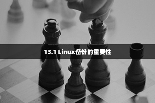 13.1 Linux备份的重要性