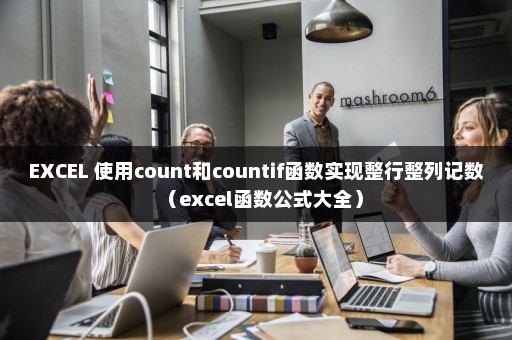 EXCEL 使用count和countif函数实现整行整列记数（excel函数公式大全）