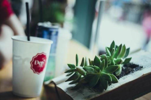 2016版本的Excel快速填充功能更为强大下面一起感受(使用excel的什么可以实现快速填充功能) 2016版本的Excel快速填充功能更为强大下面一起感受(使用excel的什么可以实现快速填充功能)