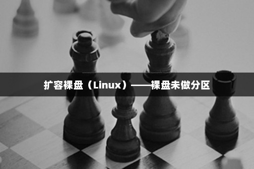 扩容裸盘（Linux）——裸盘未做分区