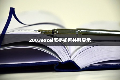2003excel表格如何并列显示