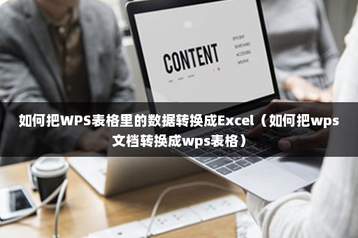 如何把WPS表格里的数据转换成Excel（如何把wps文档转换成wps表格）