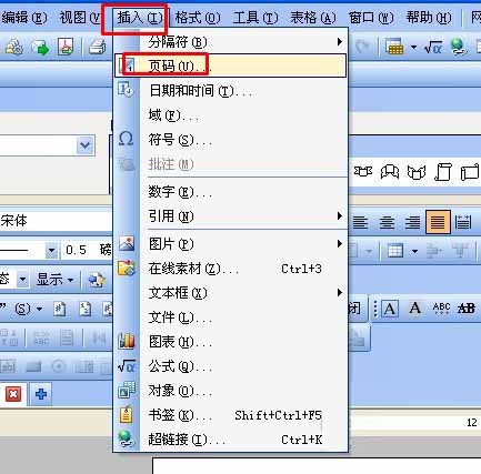 wps文字设置有图案的页码 ></p>