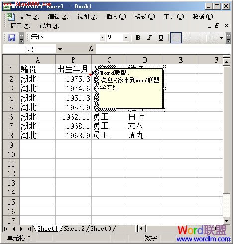 如何将简介说明文字添加在Excel2003的单元格中 ></p>