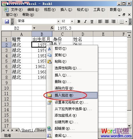 如何将简介说明文字添加在Excel2003的单元格中