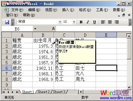 如何将简介说明文字添加在Excel2003的单元格中 ></p>