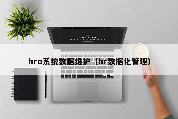 hro系统数据维护（hr数据化管理）