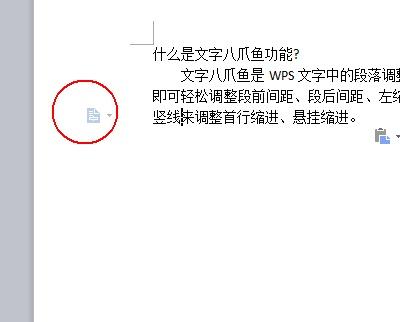wps如何使用八爪鱼功能 ></p>